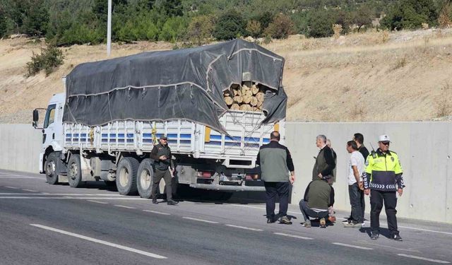 Denizli’de orman suçlarına karşı denetimler sıkılaştırıldı