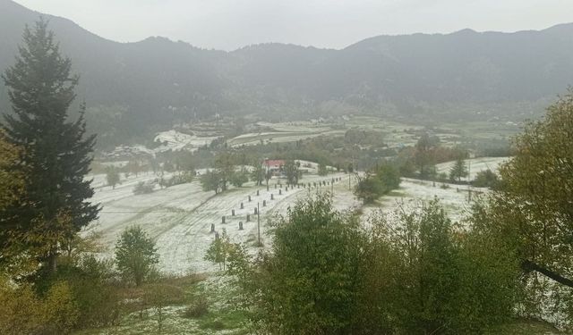 Dolu yağışı Artvin’i beyaz örtüyle kapladı