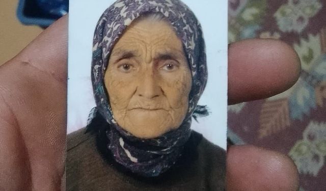 Evinin bahçesindeki yaşlı kadını domuz sanıp ölümüne sebep oldu