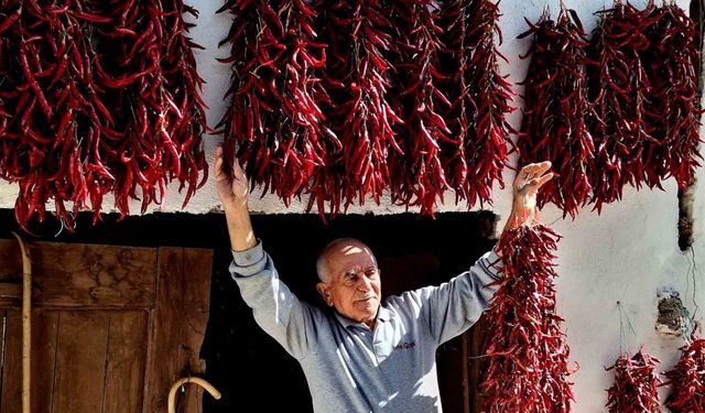 Fotoğraf tutkunları 160 yıldır aynı tohumdan üretilen ’Çukurören biberi’ni görüntülemek için Bilecik’e geldi