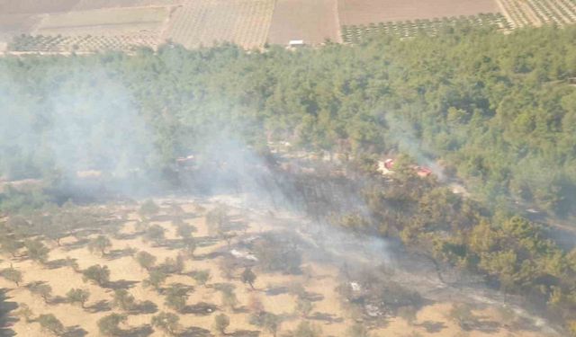 İzmir’de arazide çıkan yangın ormana sıçradı; havadan müdahale de başladı