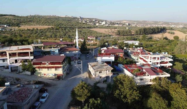 Kurutmalık biberlerle mahalle adeta kırmızıya büründü