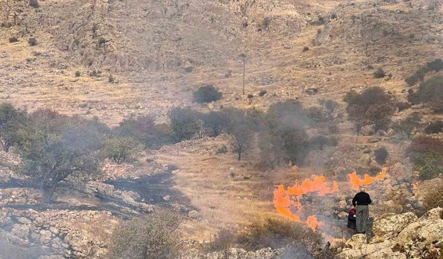 Mardin’de çıkan ot yangını söndürüldü