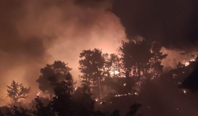 Muğla’da ikinci orman yangını