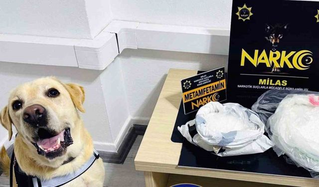 Narkotik köpeği ‘Çiko’ affetmiyor