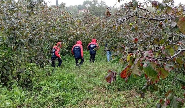 Ordu’da ağaçtan düşen yaşlı adam hayatını kaybetti