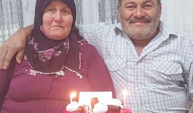 Ordu’da bahçede çalışan karı kocaya yaban domuzu saldırdı: 1’i ağır 2 yaralı