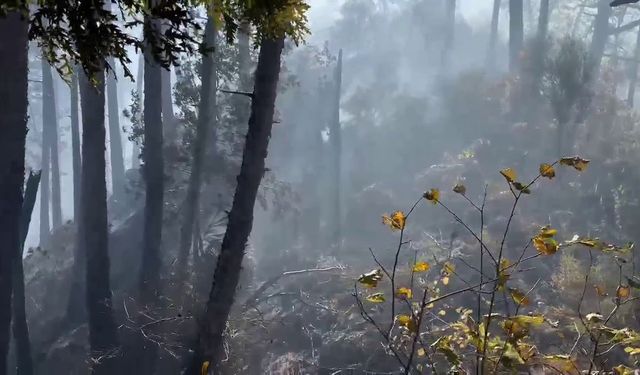 Orman yangınına müdahale çevre illerden destekle devam ediyor