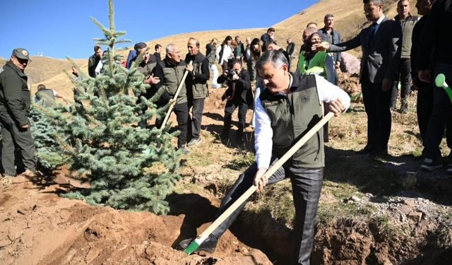 Palandöken’de 60 bin fidan toprakla buluştu