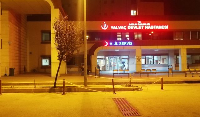 Pompalı tüfeği temizlerken abisini yaraladı