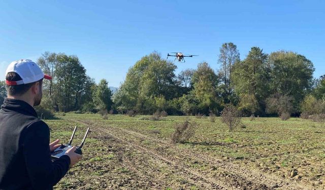 Selde hasar gören mera dron ile tohumlandı