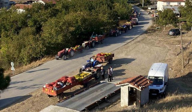 Taze ceviz toptan 25 liraya satılıyor