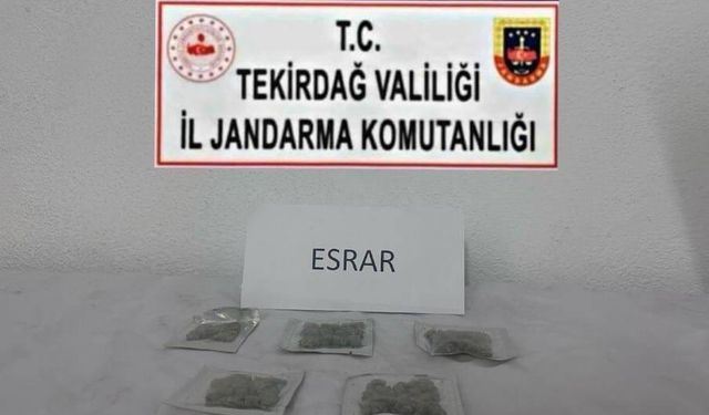 Tekirdağ’da uyuşturucu ve silah operasyonları: Çok sayıda suç unsuru ele geçirildi