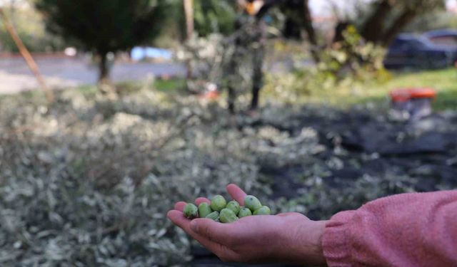 Turgutlu Belediyesi örnek uygulamasına devam ediyor