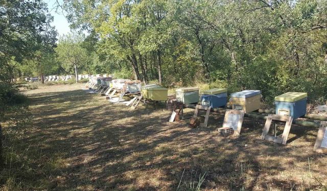 Üniversitenin zarar gören arı kovanları üretici desteğiyle yenilendi