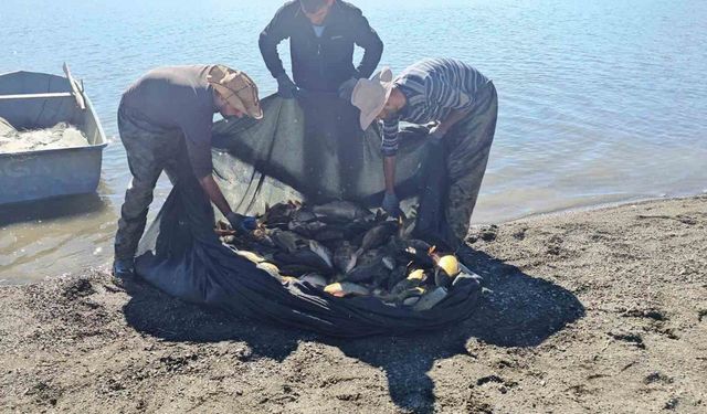 Van’da ağla kaçak balık avlayan kişiye 8 bin 918 liralık ceza