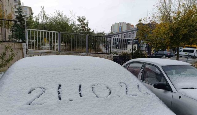 Van’da her yer beyaza büründü