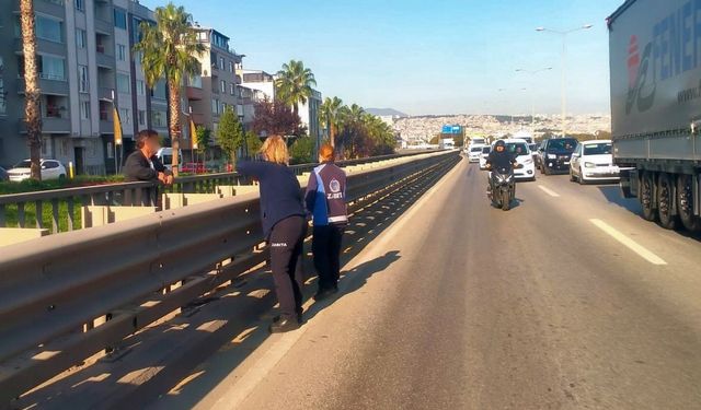 Viyadükteki intihar girişimini zabıta önledi