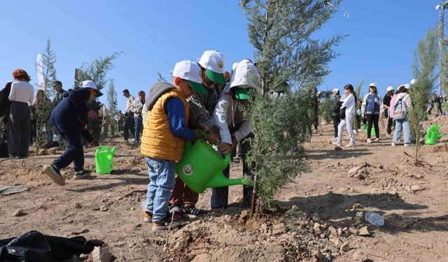 15 Ağustos’taki büyük yangının ardından İzmir’de ilk fidanlar toprakla buluştu