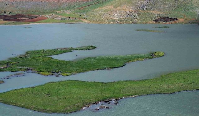 Adıyaman’da yüzen adaların kurtarılması için çalışma başlatıldı