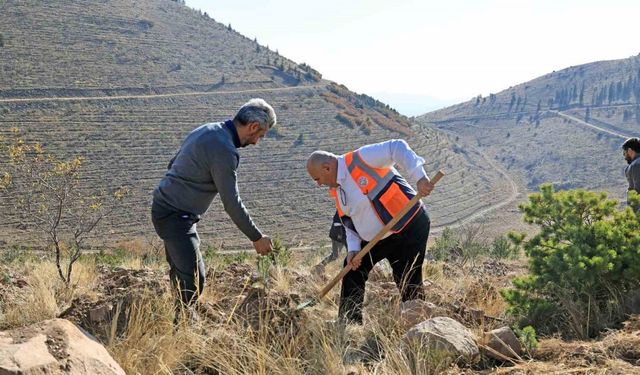 Ali Dağın zirvesine bin 111 fidan