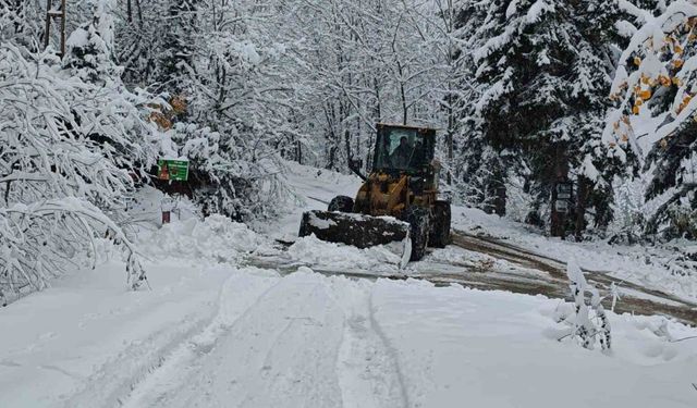 Artvin’de kapalı olan köy yollarını ulaşıma açmak için çalışmalar sürüyor