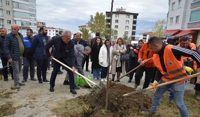 Atakum yeşile bürünüyor