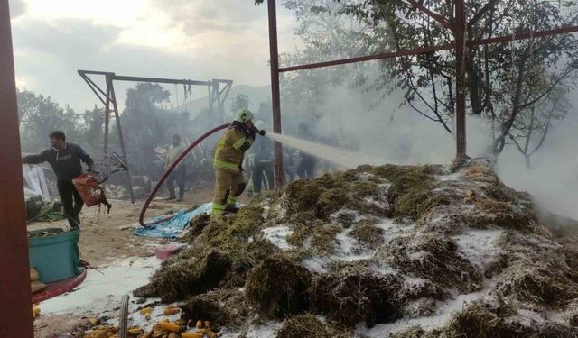 Bahçedeki samanlar alev alev yandı