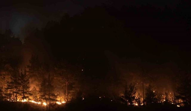 Bursa-Balıkesir il sınırındaki orman yangınına 8. saatinde müdahale devam ediyor