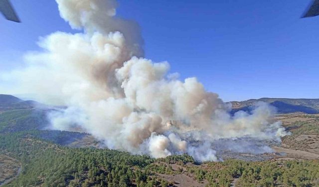 Bursa’da orman yangını: Havadan ve karadan müdahale devam ediyor