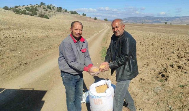 Çiftçi küresel ısınmanın etkileri yüzünden buğdayını geç ekiyor