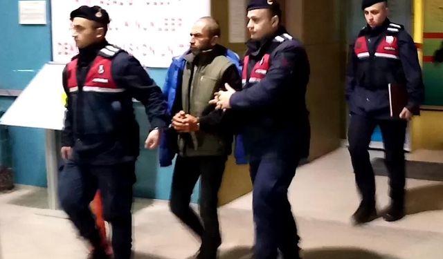 Çobanı tüfekle vuran şüpheli tutuklandı