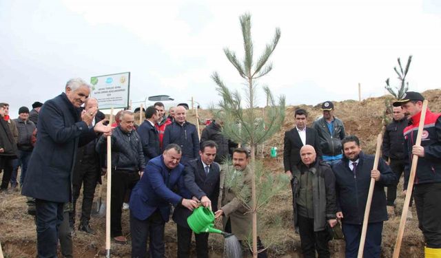 DATÜB Ahlat’ta ‘Hatıra Ormanı’ oluşturdu