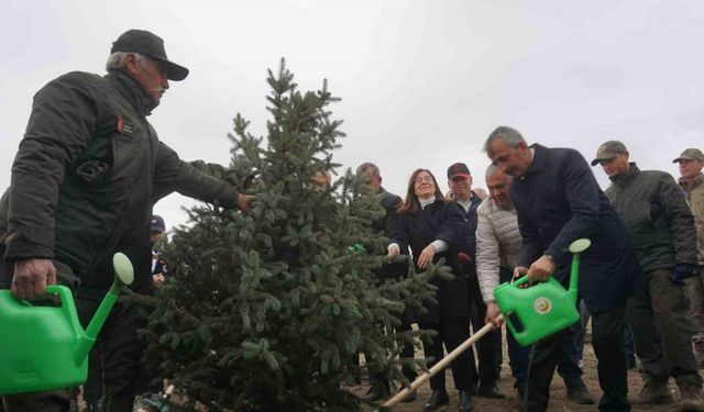 Edirne’de 2 bin fidan toprakla buluştu