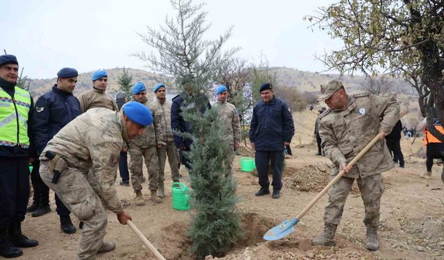 Elazığ’da 2 bin 300 fidan toprakla buluştu