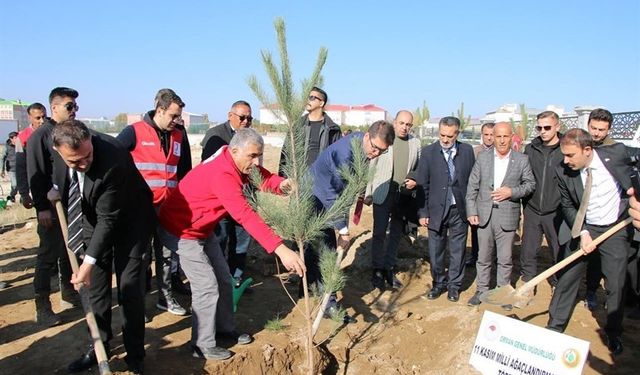 Erciş’te fidan dikme etkinliği