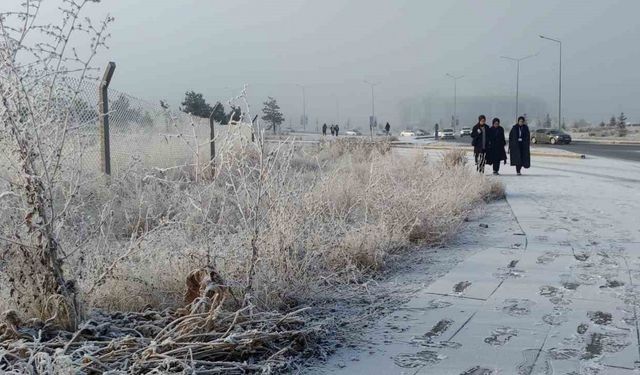 Erzurum buz kesti, sis şehri örttü