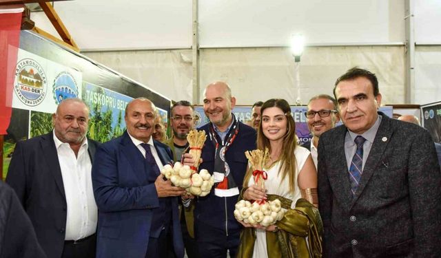 Eski Bakan Soylu, İstanbul’da vatandaşlara Taşköprü sarımsağı dağıttı