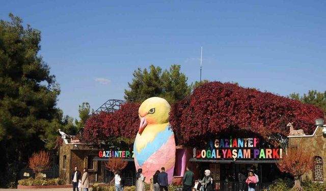 Gaziantep Doğal Yaşam Parkı’na ara tatilde ziyaretçi akını