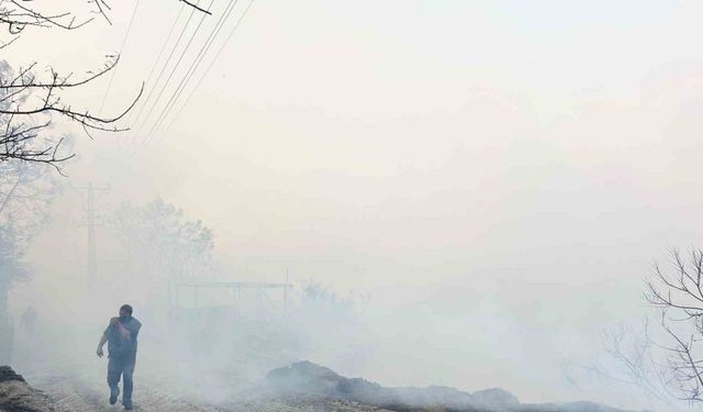 Hatay’da orman yangını kontrol altına alındı