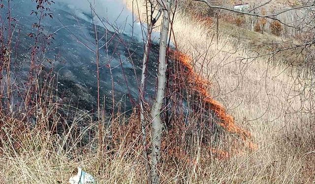 Hizan’da kuru ot yangını büyümeden söndürüldü