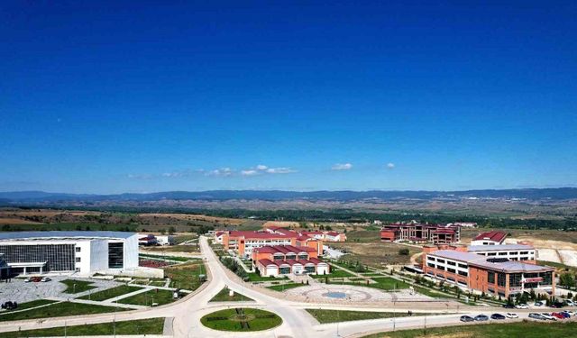 Kastamonu Üniversitesi, Times Higher Education Disiplinlerarası Bilim Sıralamasında 301-350 bandında yer aldı