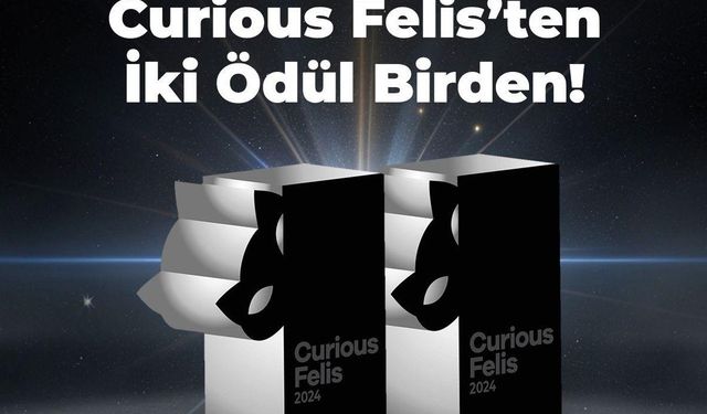 Kiğılı’ya, Curious Felis 2024’ten iki gümüş ödül