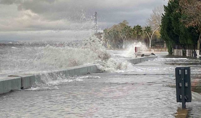 Kocaeli’de deniz taşarken 2 tekne battı, ağaçlar ise yerlerinden söküldü