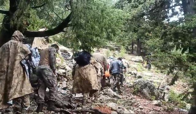 Mantar toplamak için çıkıp bitkin halde bulunan yaşlı adam hastanede hayatını kaybetti