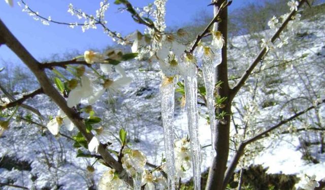 Muğla’ya yağmur sonrası soğuk hava uyarısı