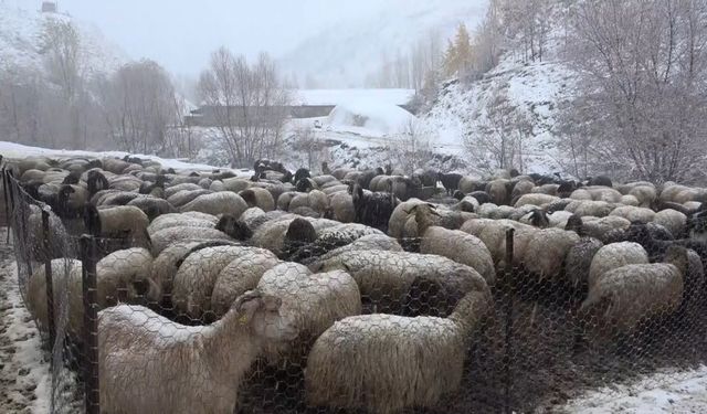 Muş’ta kar yağışı etkili oldu