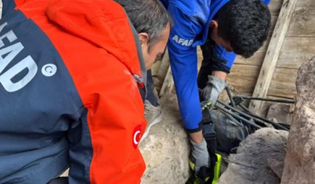 Nevşehir’de 25 metrelik kuyuya düşen kediyi AFAD kurtardı