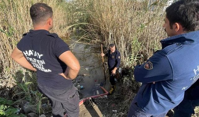 Samandağ’da yağmur suyu giderinde mahsur kalan yavru köpekler kurtarıldı