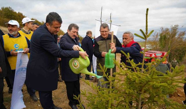 Samsun’da ’Milli Ağaçlandırma Günü’nde 100 bin fidan toprakla buluştu